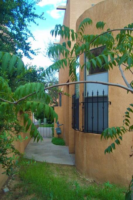 View toward street from back yard