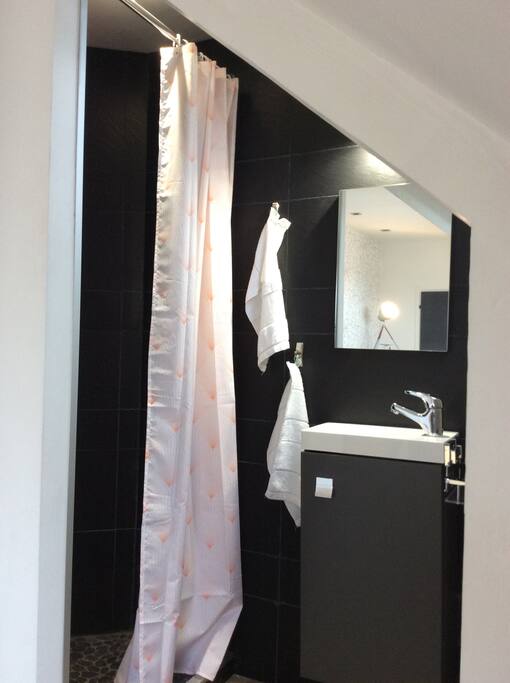 Salle d'eau invités : attenante à la chambre.