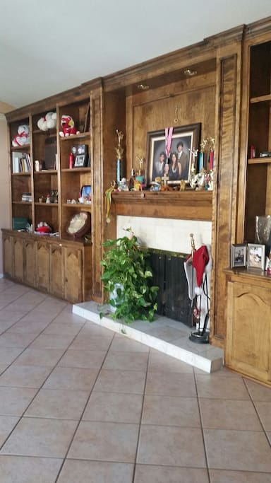 den room with fireplace and plant, part of your private space