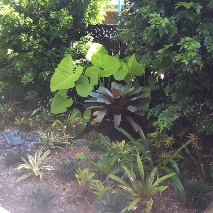 Tranquil gardens