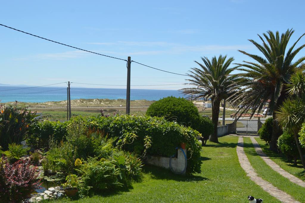 Jardín.