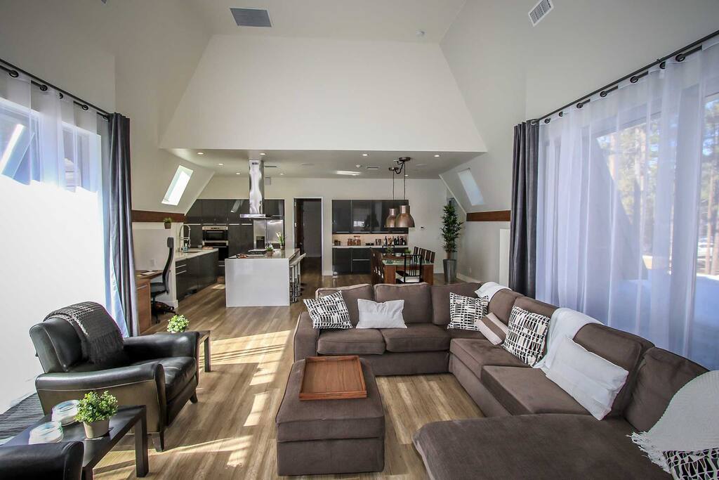 Couch,Furniture,Chair,Indoors,Room