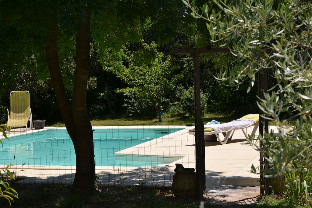 La piscine