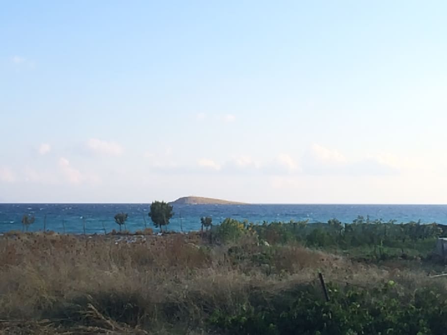 the view in front of the house, sea - beach is on 50 meters.