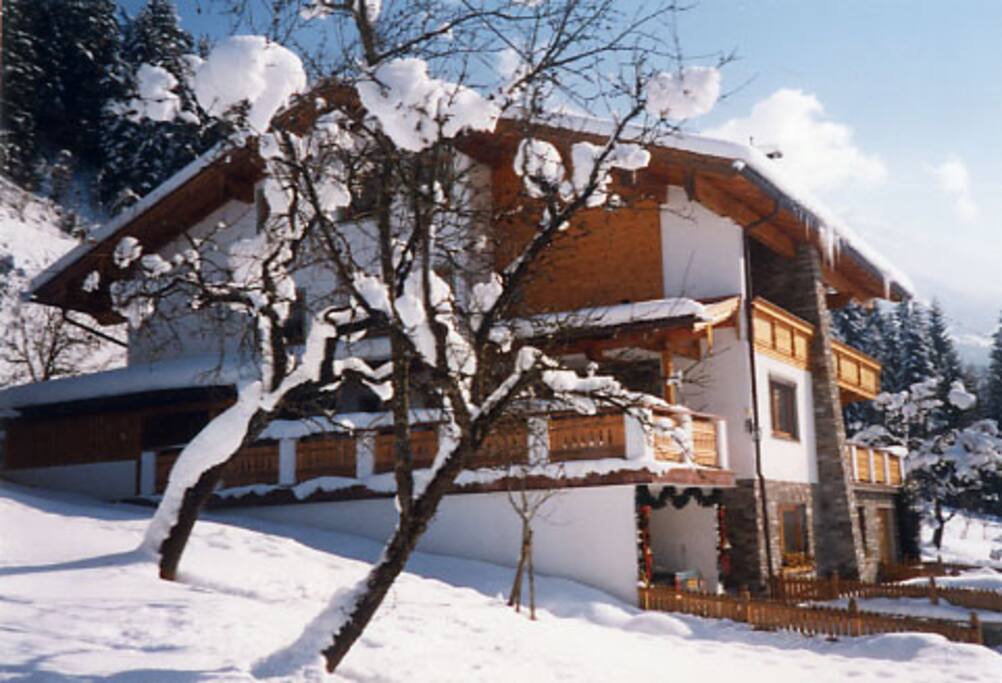 Das haus im Winter