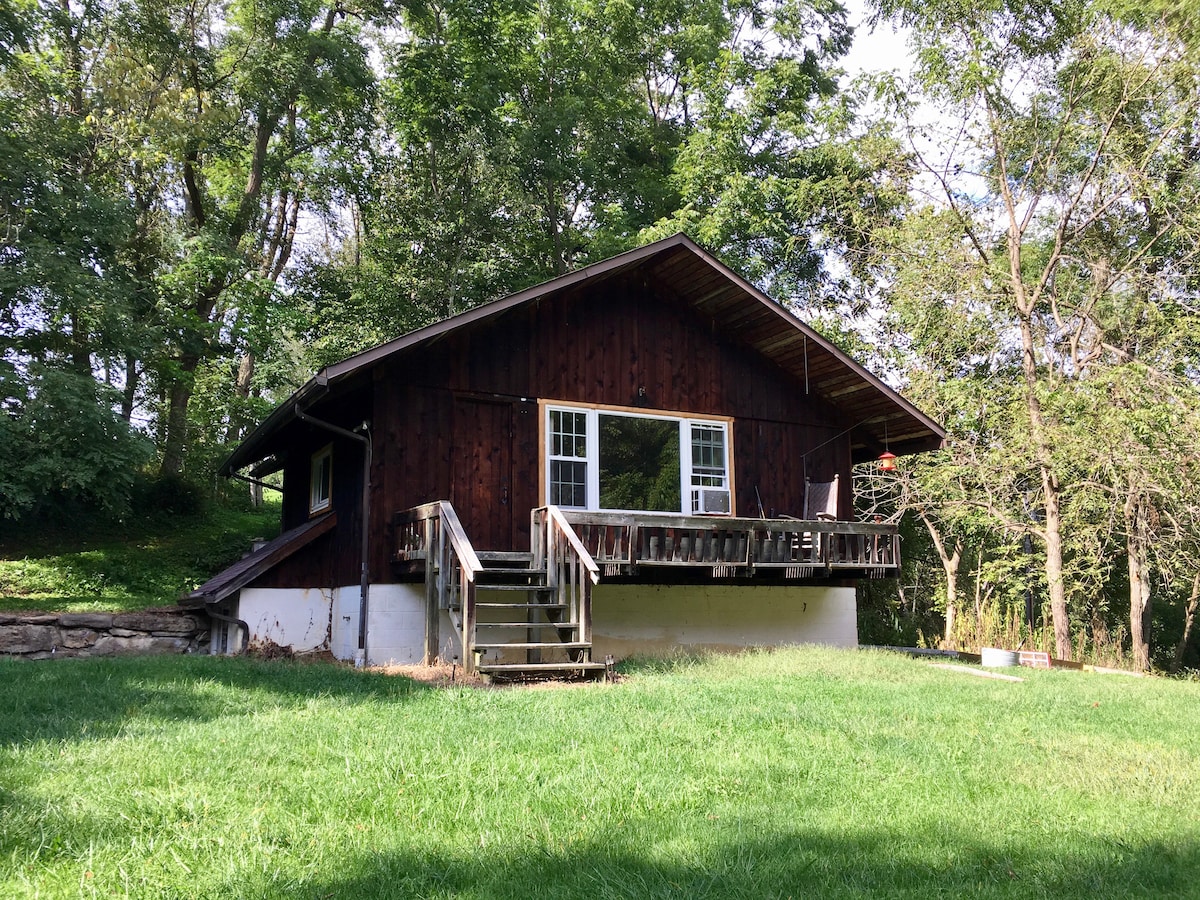 A rustic wooden chalet is framed by lush green grass and trees, showcasing a sloped roof and large windows that invite natural light. A staircase leads to a front porch from the yard, enhancing the connection to the surrounding nature.