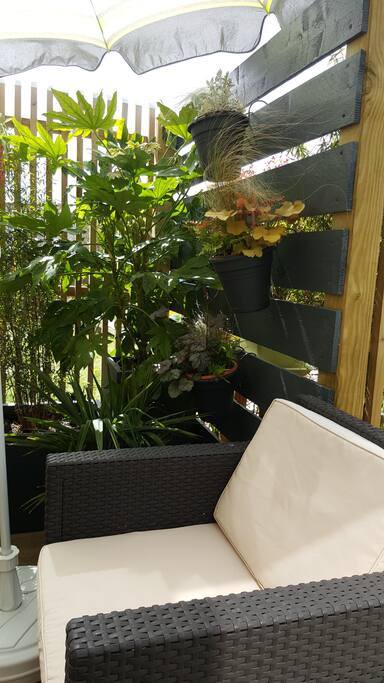 La terrasse