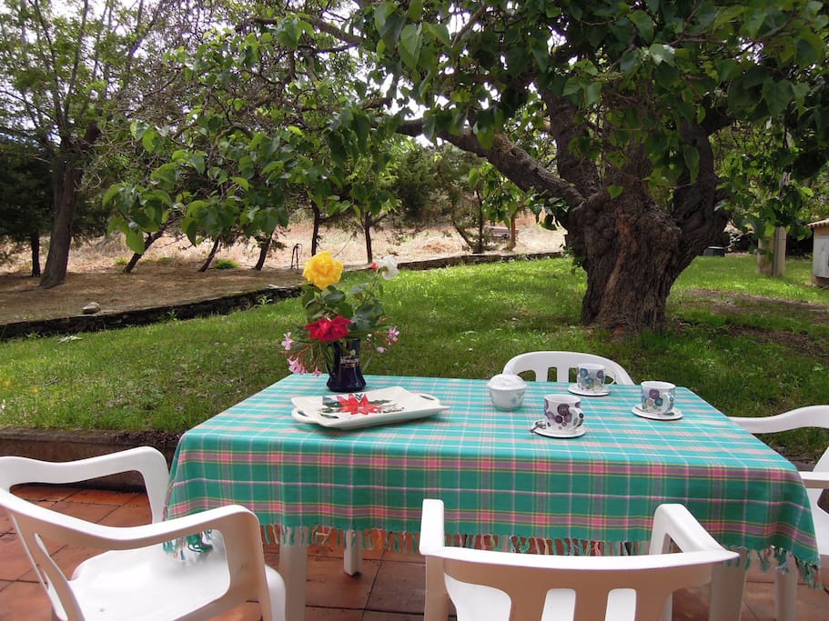 Giardino
