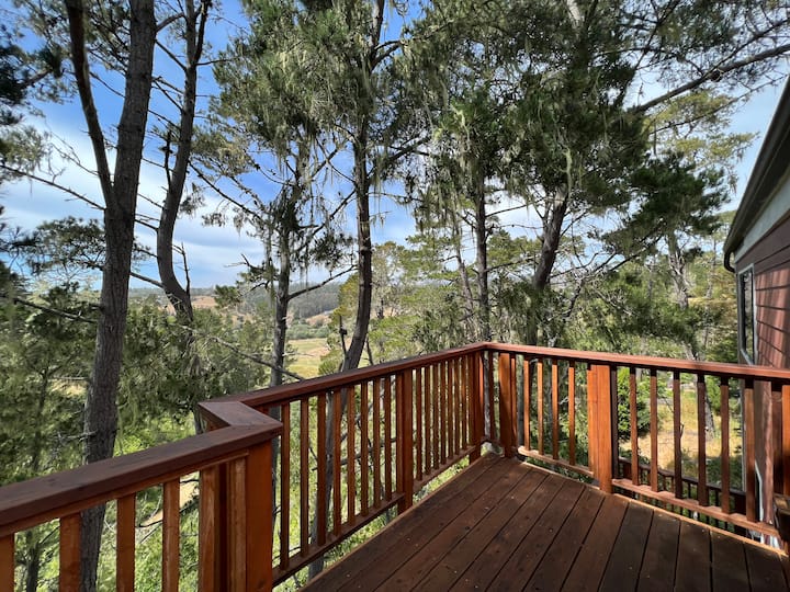 Cambria Vacation Rentals & Homes California, United States Airbnb