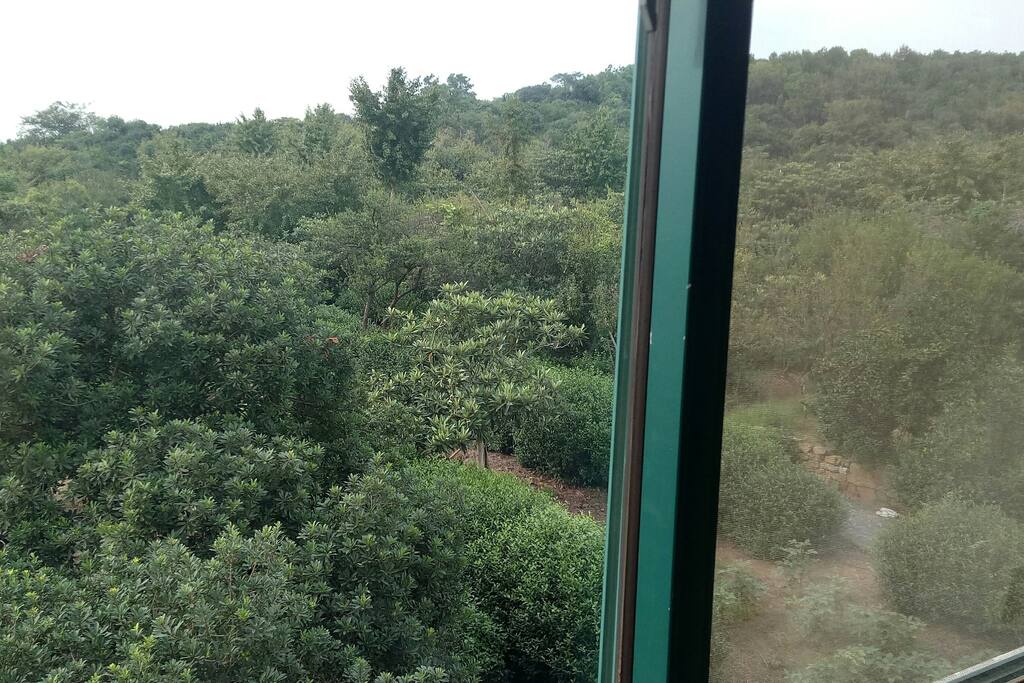 可以看到户外的山景哟