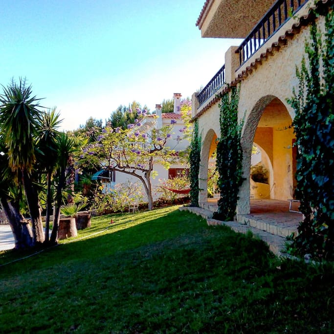 Front garden