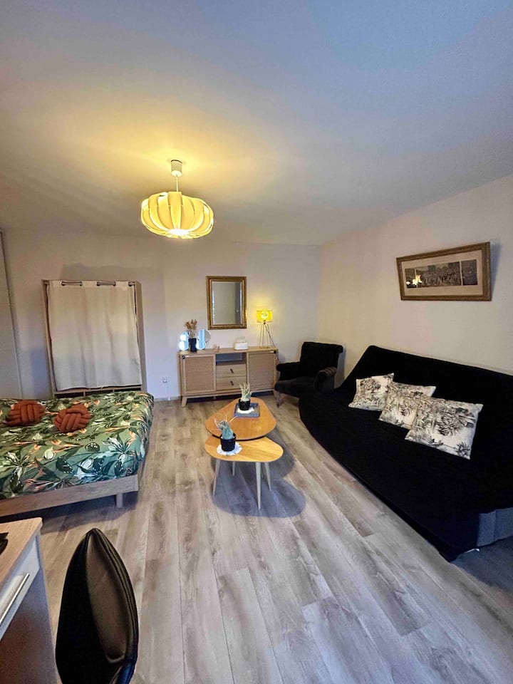 Charmant Studio De 50 M2 - Chaumont
