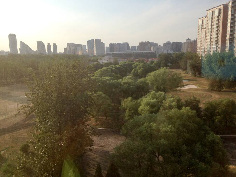 View from Living Room