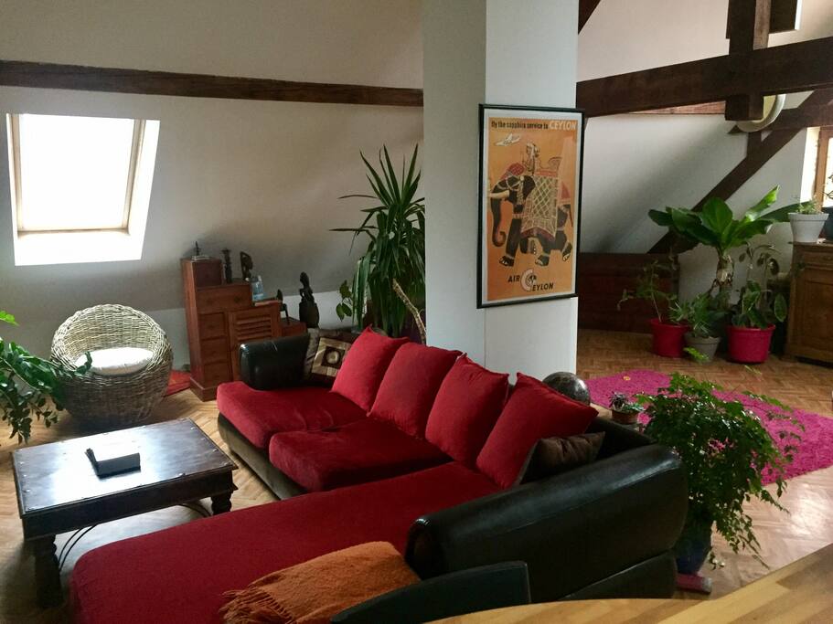 Salon