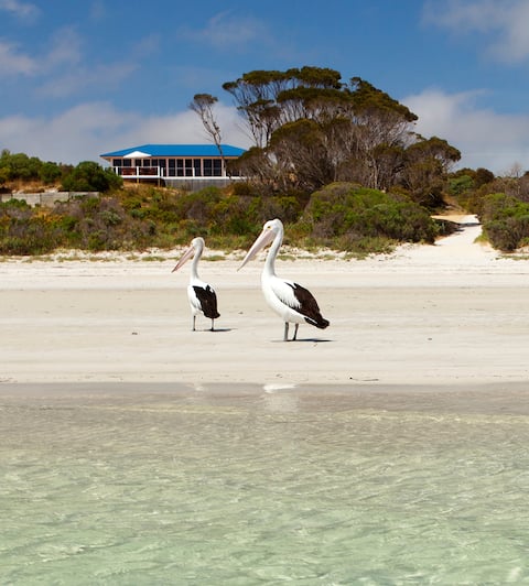 Beach Front. Panoramic Views. Kayaks. Gift Basket.