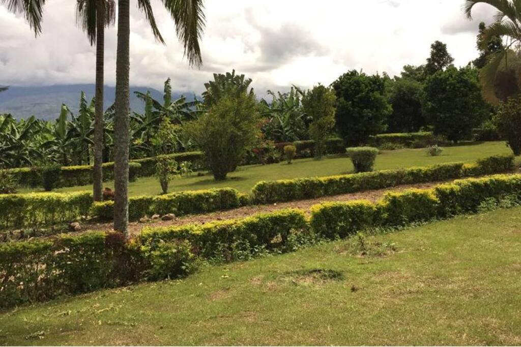 This is part of the compound measuring 1 and a half acres with fruit trees like lemon,mangoes,oranges,ovacadoes all of fruit bearing age.it can also be used for camping with tent space of over 30+ tents.