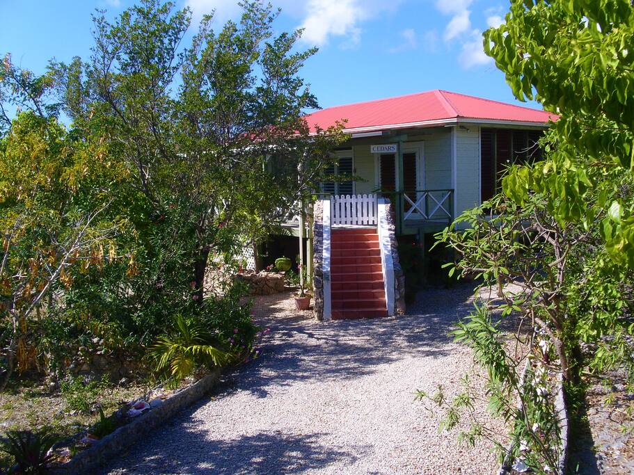 Driveway and front steps