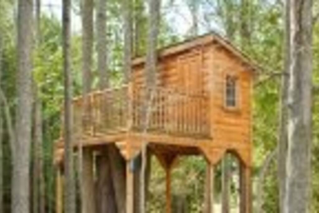 tree fort