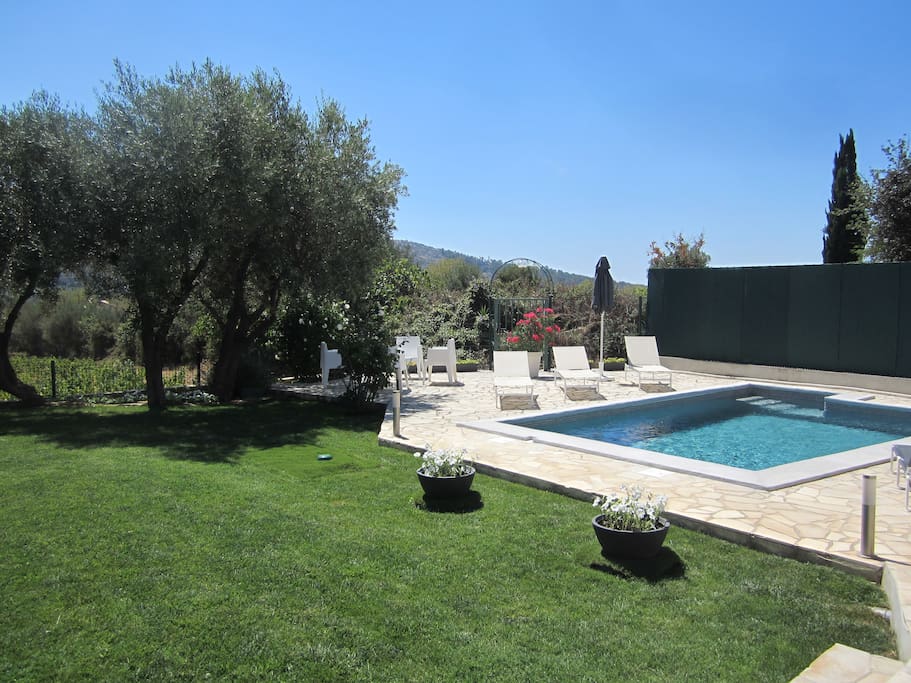 Swimming pool and Garden