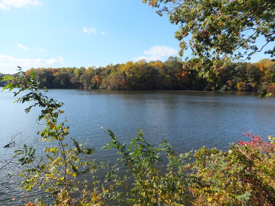 Thompson Park / Swimming river reservoir