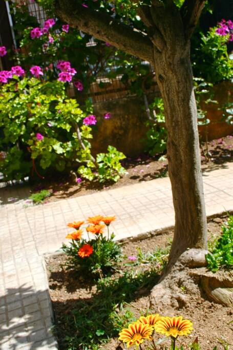 i colori del salento