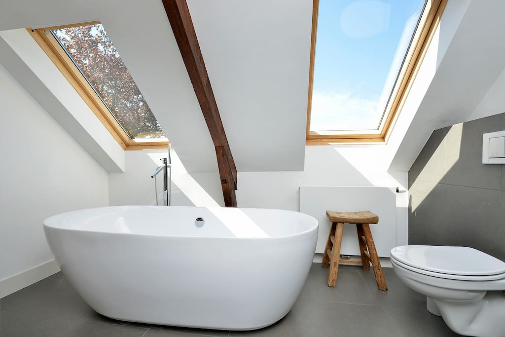 Badkamer op de tweede etage met ruime douche, ligbad, infra rood sauna en toilet.