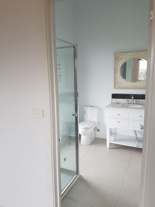 Ensuite bathroom with shower
