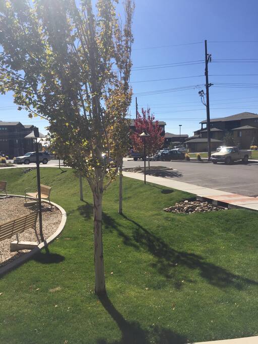 Fall colors are on their way!