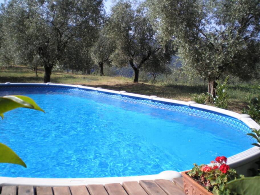 Swimmingpool