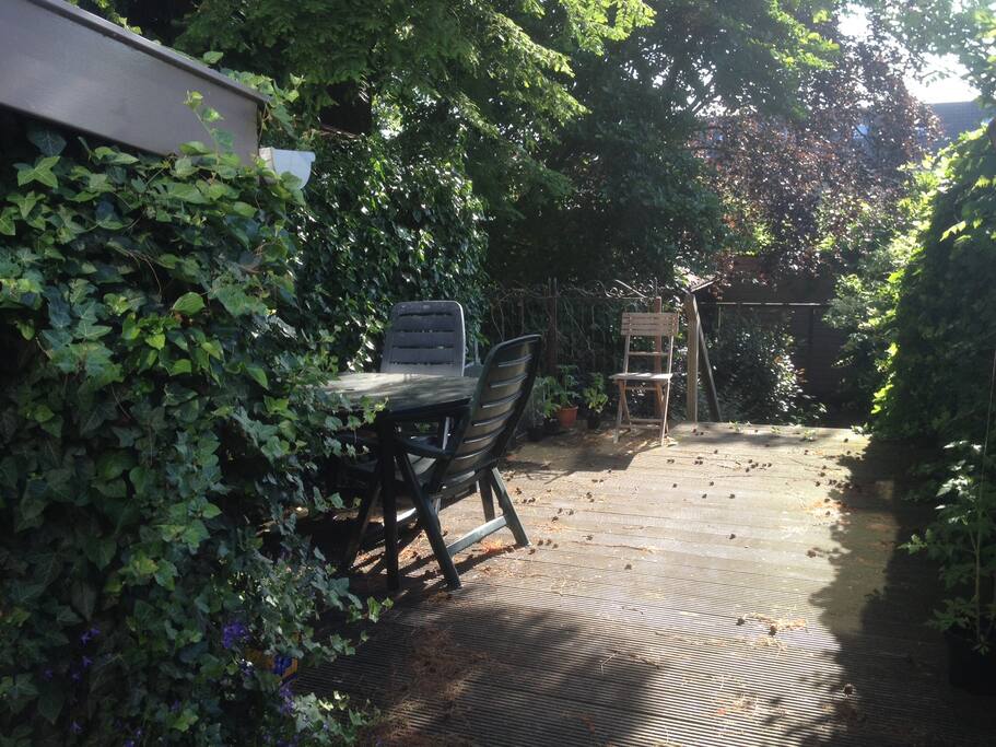 back yard