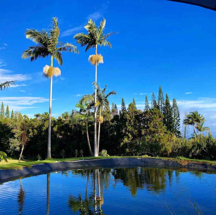 Kalopa Mauka Self Care & Yoga Retreat Houses for Rent in Honokaa