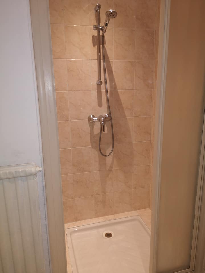 Le Majestic 103. - Aix-les-Bains