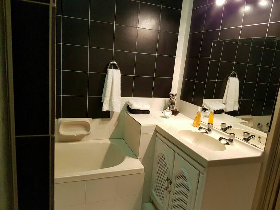Zebra room bathroom