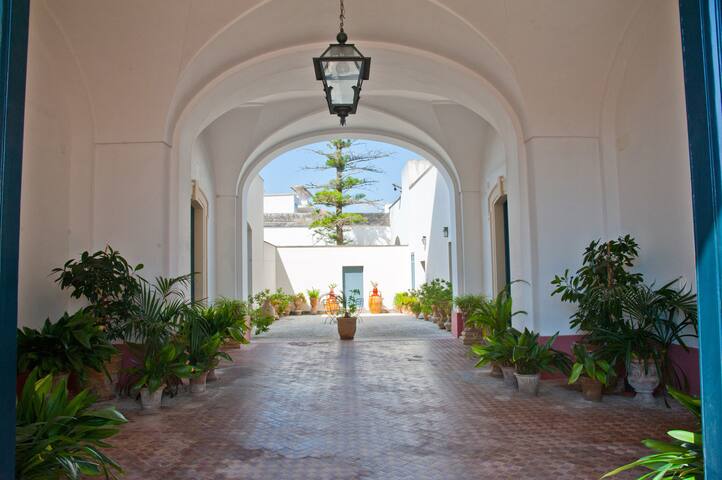 Palazzo storico a 3 km da Santa Maria di Leuca gallery image 5