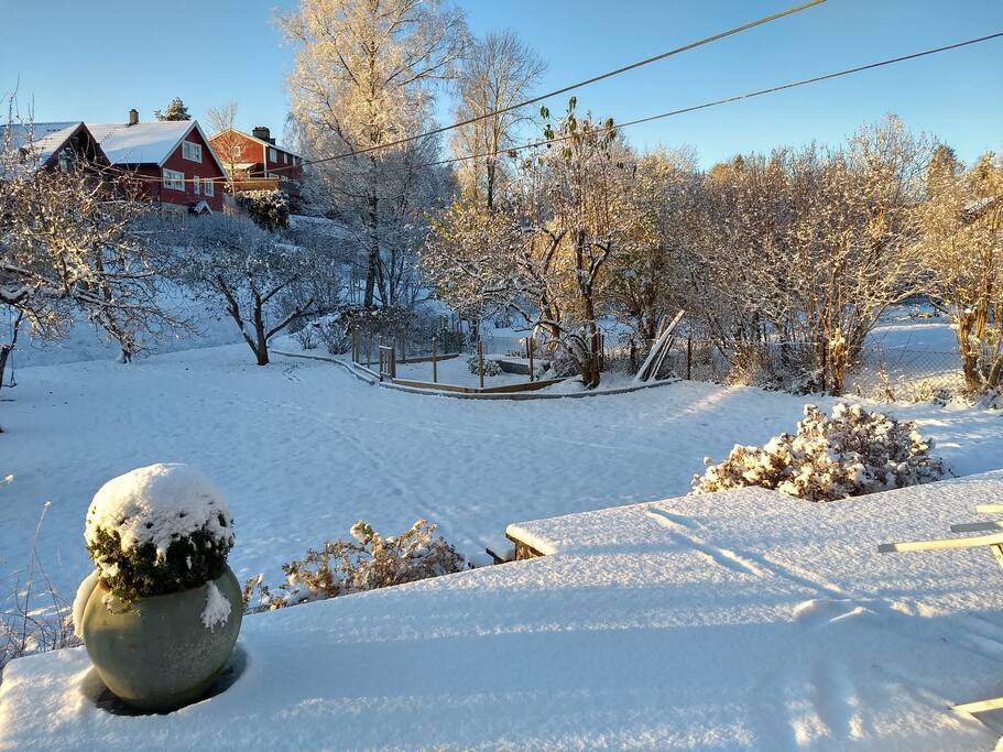 View to the garden from our house.