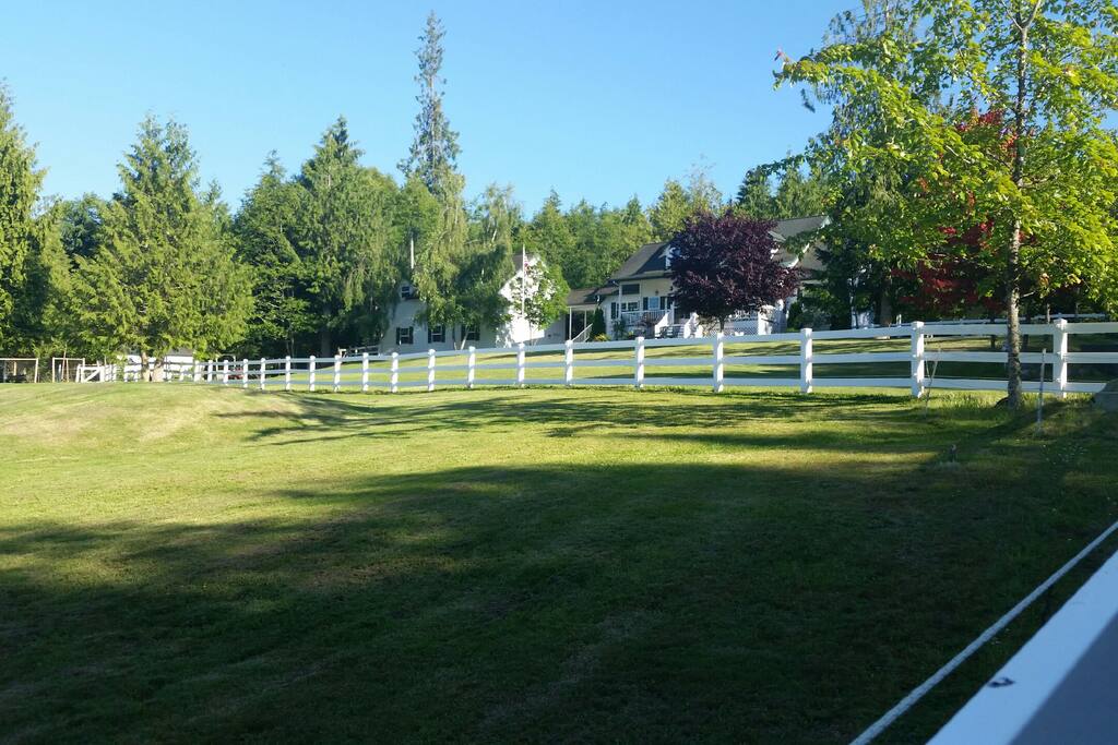Gorgeous nature out in the country