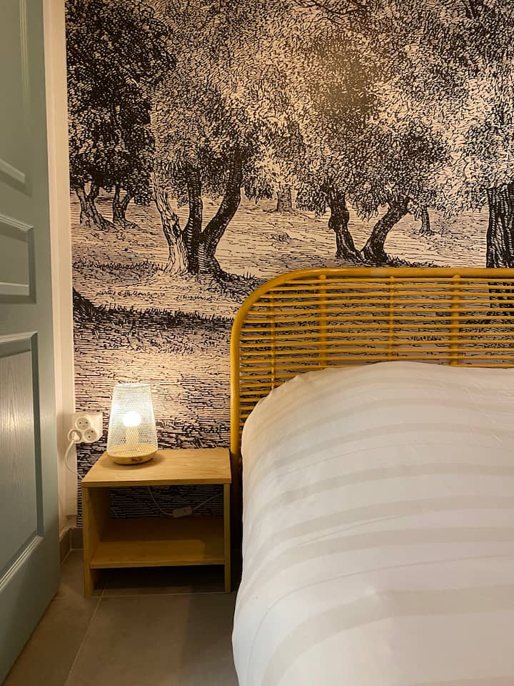 Appartement Intra-muros Avignon - Avignon