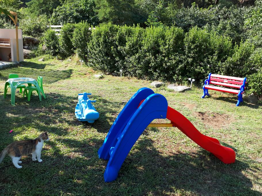 Kids area