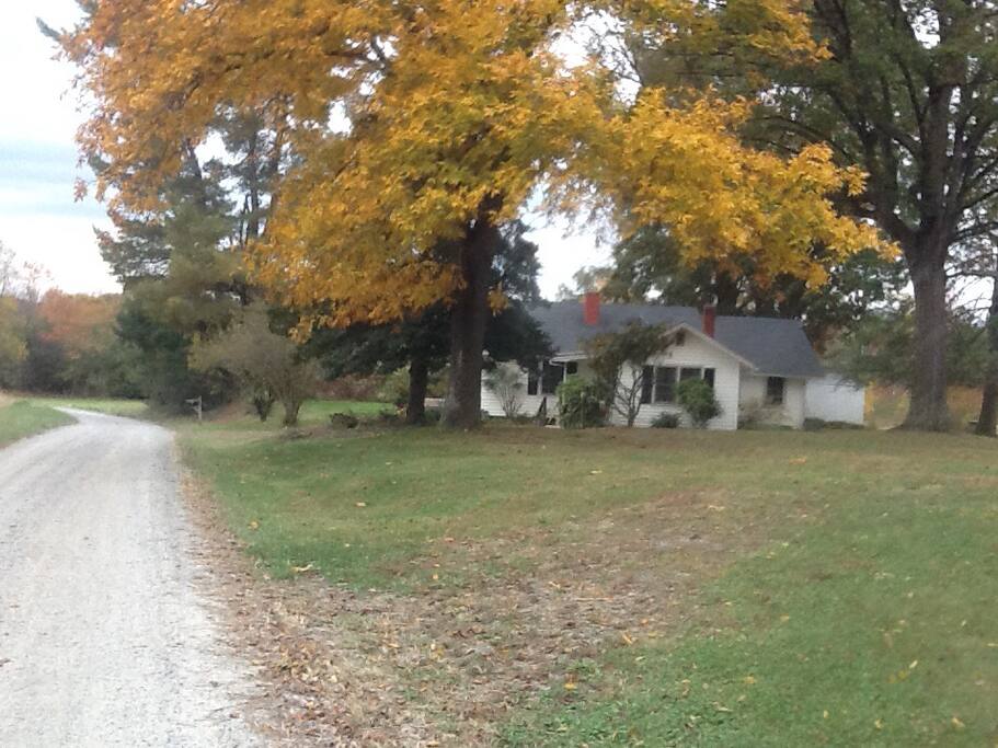 Jabbers in the fall, lots of Festivals and the Vineyards are beautiful