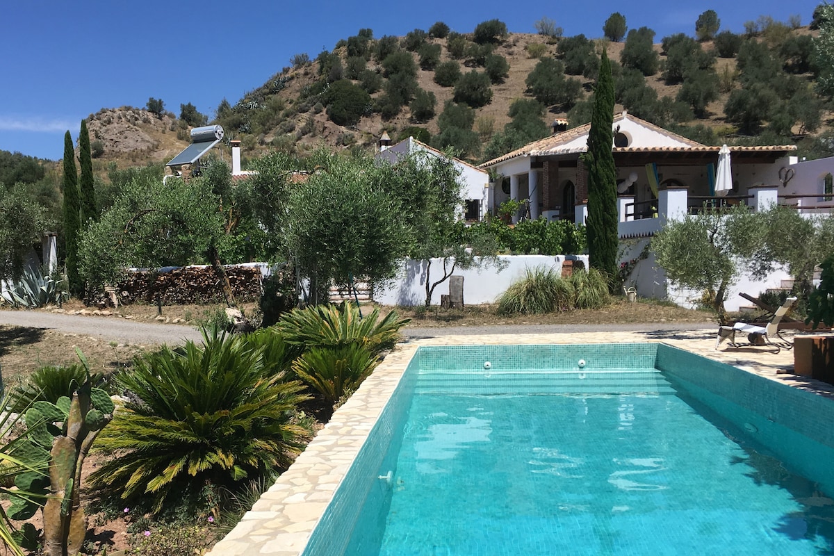 A serene saltwater pool is viewed from the patio, reflecting the surrounding olive trees and lush greenery. The property features a backdrop of rolling hills and traditional architecture, enhancing the tranquil atmosphere of the retreat.