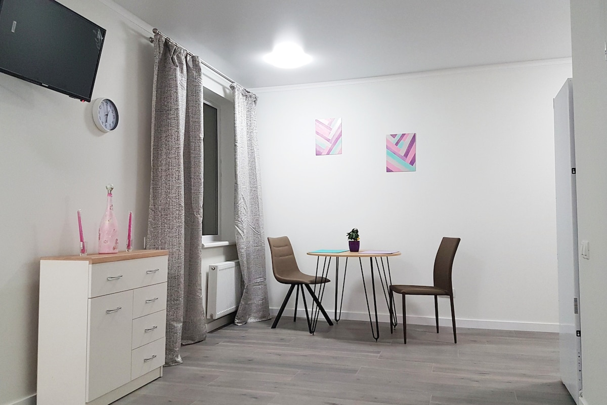 A modern studio living area features a small round table with two chairs, accompanied by a TV mounted on the wall. Two abstract art pieces adorn the wall, while a potted plant sits at the center of the table. Natural light filters through the window, complemented by soft drapery.
