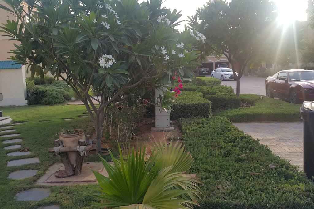 Outside