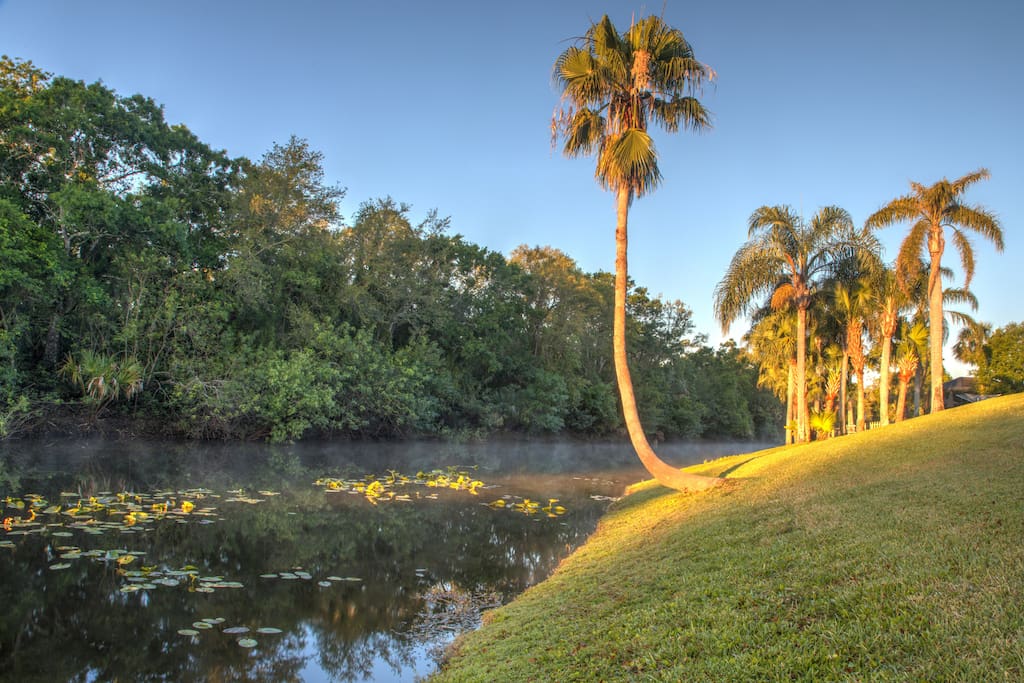 Beautiful Lily lined waterway preserve borders the backyard. Photo By Lorvey
