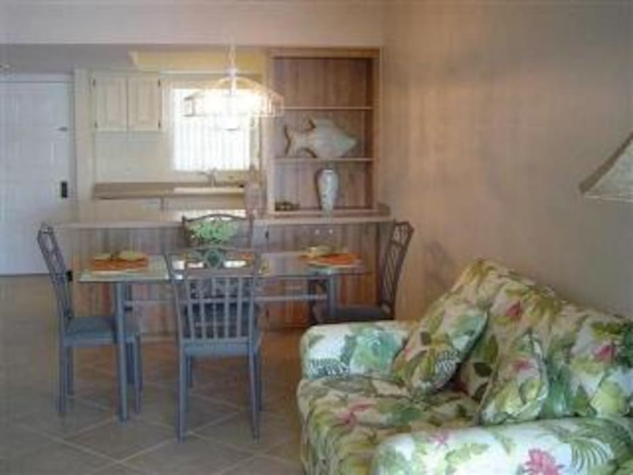 living area long view