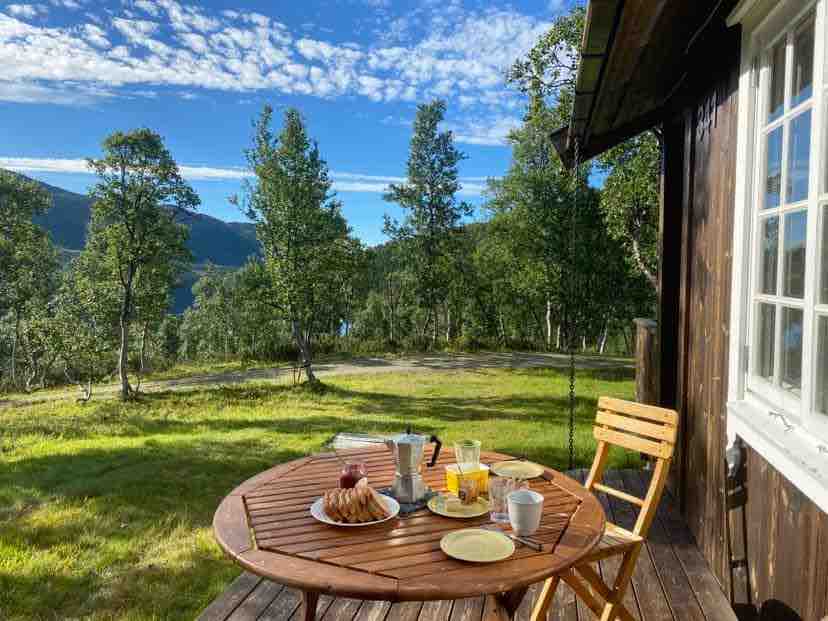 A wooden table is set outside, featuring plates, cups, and a coffee pot alongside a cake. Surrounding the table, a lush green lawn leads to trees and a distant view of the landscape under a clear blue sky.