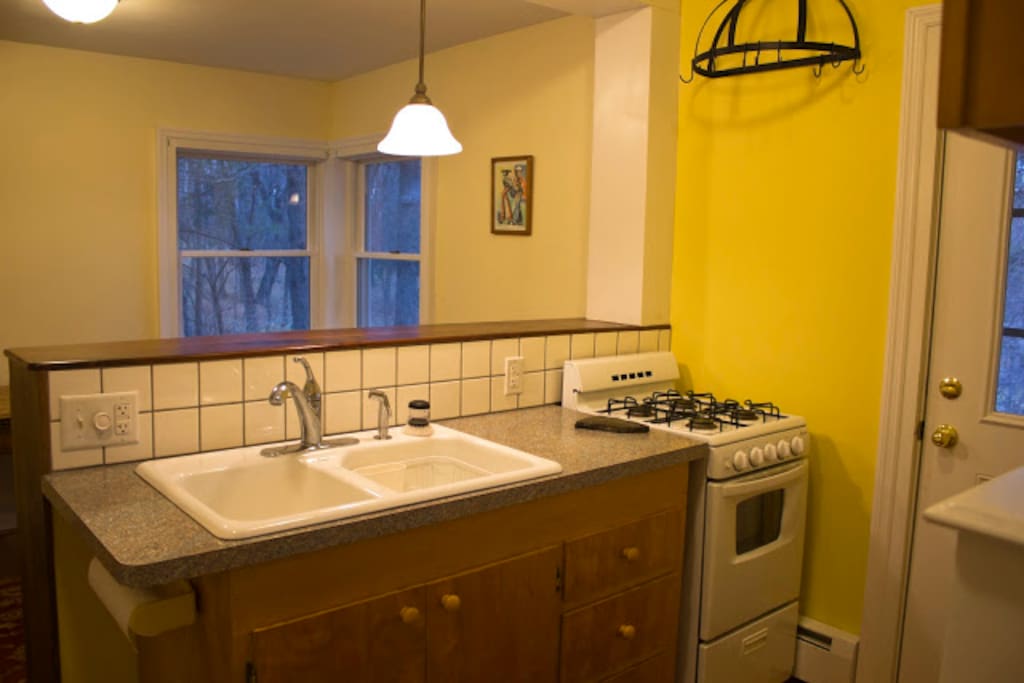Efficient kitchen with view of woods