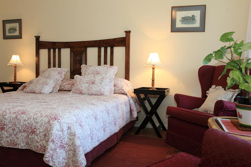 A cozy twin room features a floral-patterned bedspread on a spacious bed, complemented by bedside tables with lamps. A comfortable armchair and a small table with a potted plant are visible, contributing to a relaxed atmosphere.