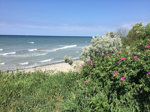 Successful Airbnb property: Baltic Sea apartment with private terrace and garden in Rostock