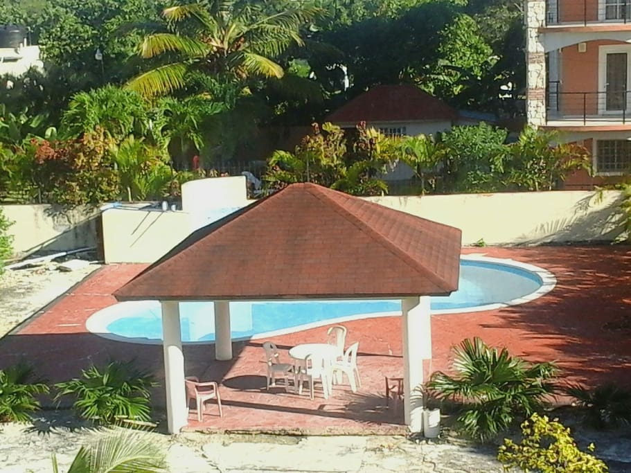 altagracia de orituco singles dating site Day of pool, altagracia de orituco, venezuela day of pool, altagracia de orituco, venezuela day of pool, altagracia de orituco, venezuela day of pool, altagracia de orituco, venezuela. altagracia de orituco singles dating site Day of pool, altagracia de orituco, venezuela day of pool, altagracia de orituco, venezuela day of pool, altagracia de orituco, venezuela day of pool, altagracia de orituco, venezuela.