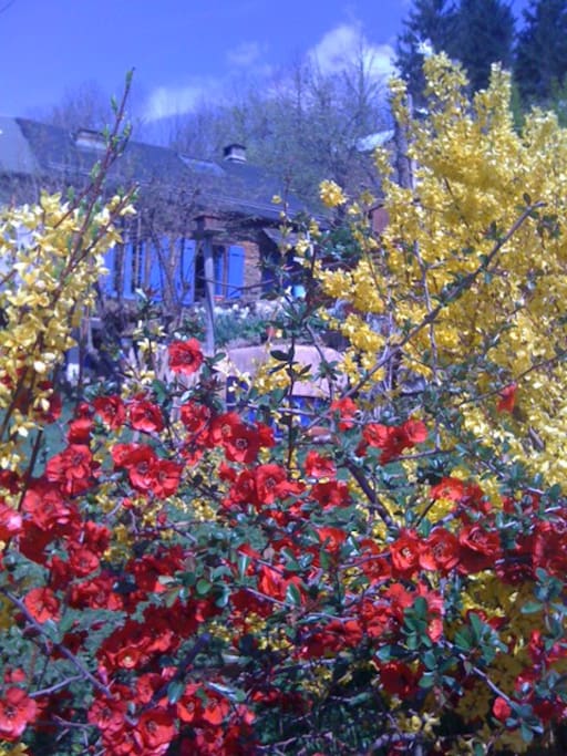 Le printemps à la Peyregude
